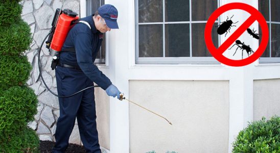 Kahta Tahtakurusu İlaçlama böcek ilaçlama ve haşere kontrolü — ilaclama-tr.com